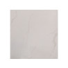 Carrelage sol 60x60cm XF-S600-001 (A6601) GLOSS|Sanifer