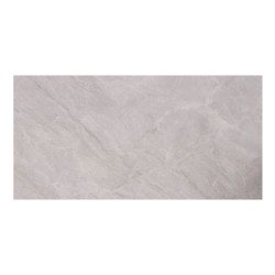 Carrelage sol 30x60cm  XF-S3060-027 brillant|Sanifer
