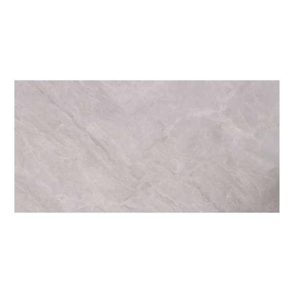 Carrelage sol 30x60cm  XF-S3060-027 brillant|Sanifer