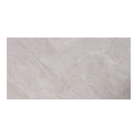 Carrelage sol 30x60cm  XF-S3060-027 brillant|Sanifer