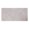Carrelage sol 30x60cm  XF-S3060-027 brillant|Sanifer