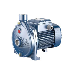 Pompe de surface CPm150 Hmt29m-7.2m3/H