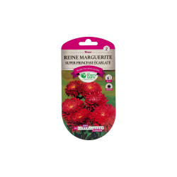 Fleur reine marguerite super princesse ecarlate 0.50g | Sanifer