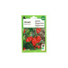 Semence piment boule de feu 1g | Sanifer