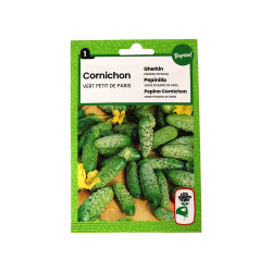 Semence cornichon vert petit de paris 4g | Sanifer