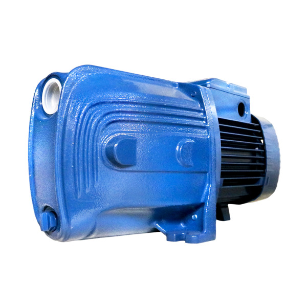 Electropompe future  JETm 2A  230V 50Hz VS - Sanifer