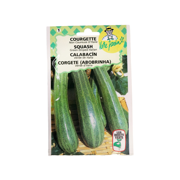 Semence courgette verte d'italie 6g | Sanifer