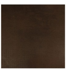 Carrelage sol 60x60 cm  06G6SEN-BR0.M0L GC