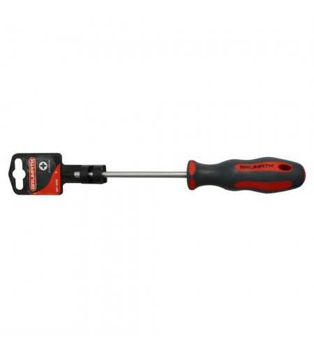 Tournevis PH 1x100 Brumath*