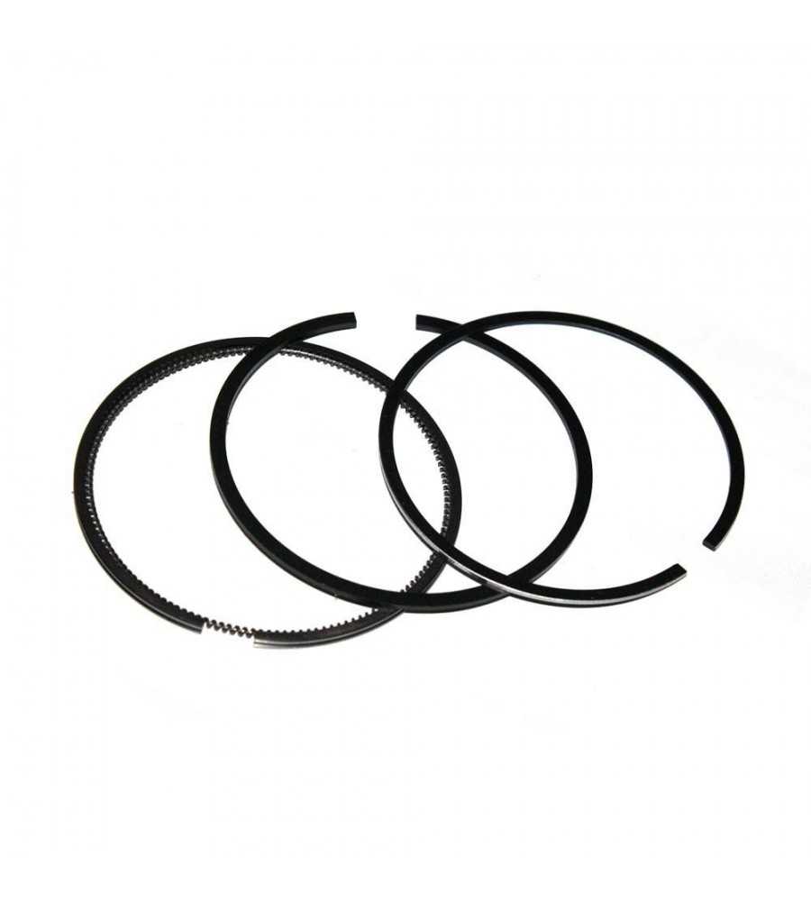 Segments*