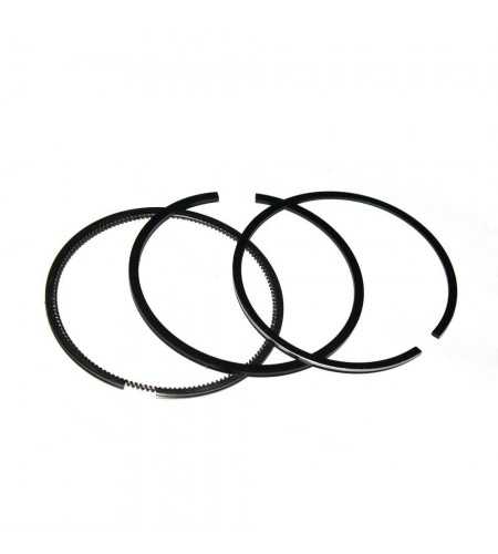Segments*