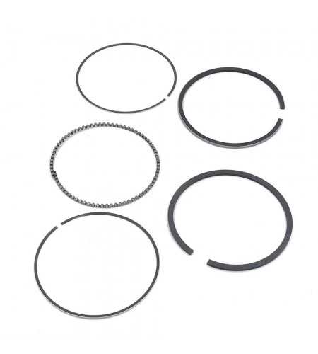 Segments*