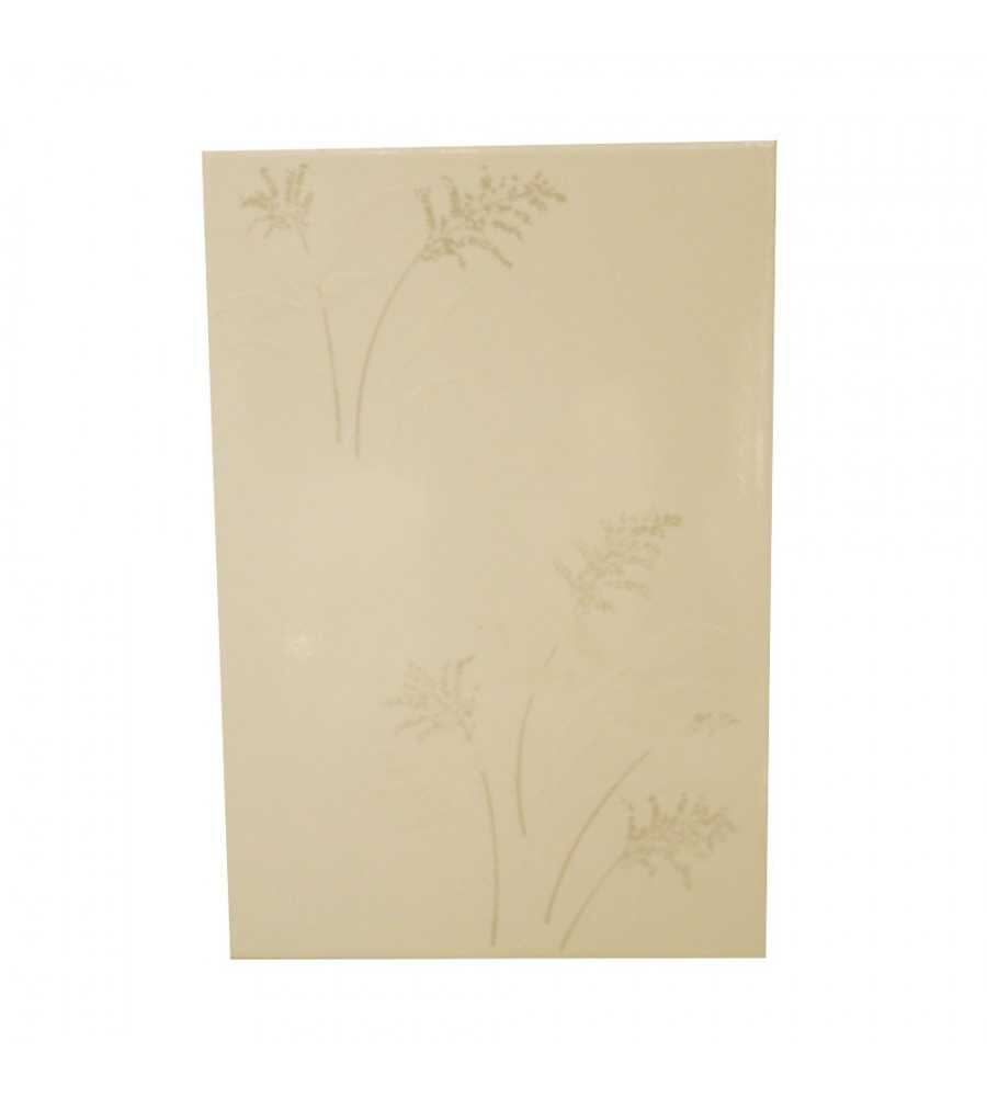 Carrelage mural 20x30cm9253*