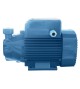 Pompe PQm100 Hmt80m-4.2m3/H -  - meilleure qualité
