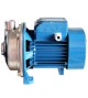 Pompe de surface AL-RED135m Hmt21m-9.6m3/H -  - meilleure qualité