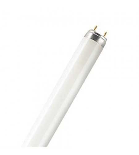 Tube fluo lumilux T8 36W-827-120cm*
