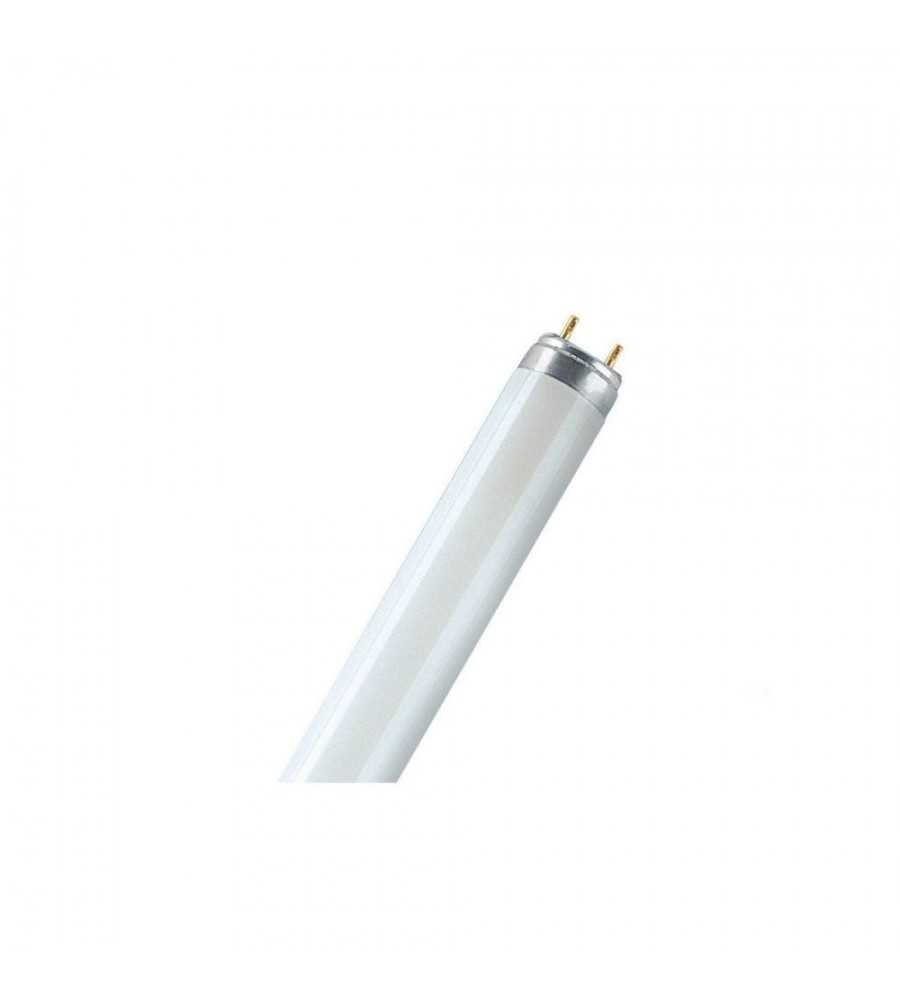 Fluo T8 36W blanc chaud*