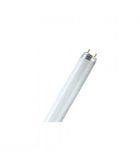 Fluo T8 36W blanc chaud*