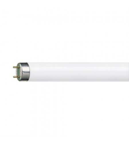 Lampe Tube fluo PHILIPS 36w 120cm (6500k)