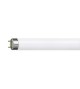 Lampe Tube fluo PHILIPS 36w 120cm (6500k)