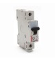 Disjoncteur 1P-50A