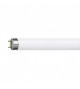 Lampe tube fluorescent lumière blanche 36W