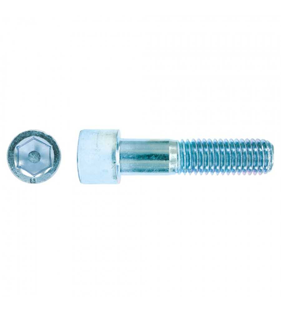 Boulon six pans creux Z 10x60 classe 8.8