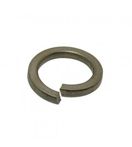 Rondelle grower brute 24mm