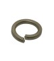 Rondelle grower brute 24mm