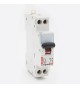 Disjoncteur DNX 2A - 1P+N