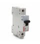 Disjoncteur DX- E 1P 20A- C*