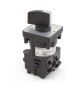 Commutateur 2P-20A multi