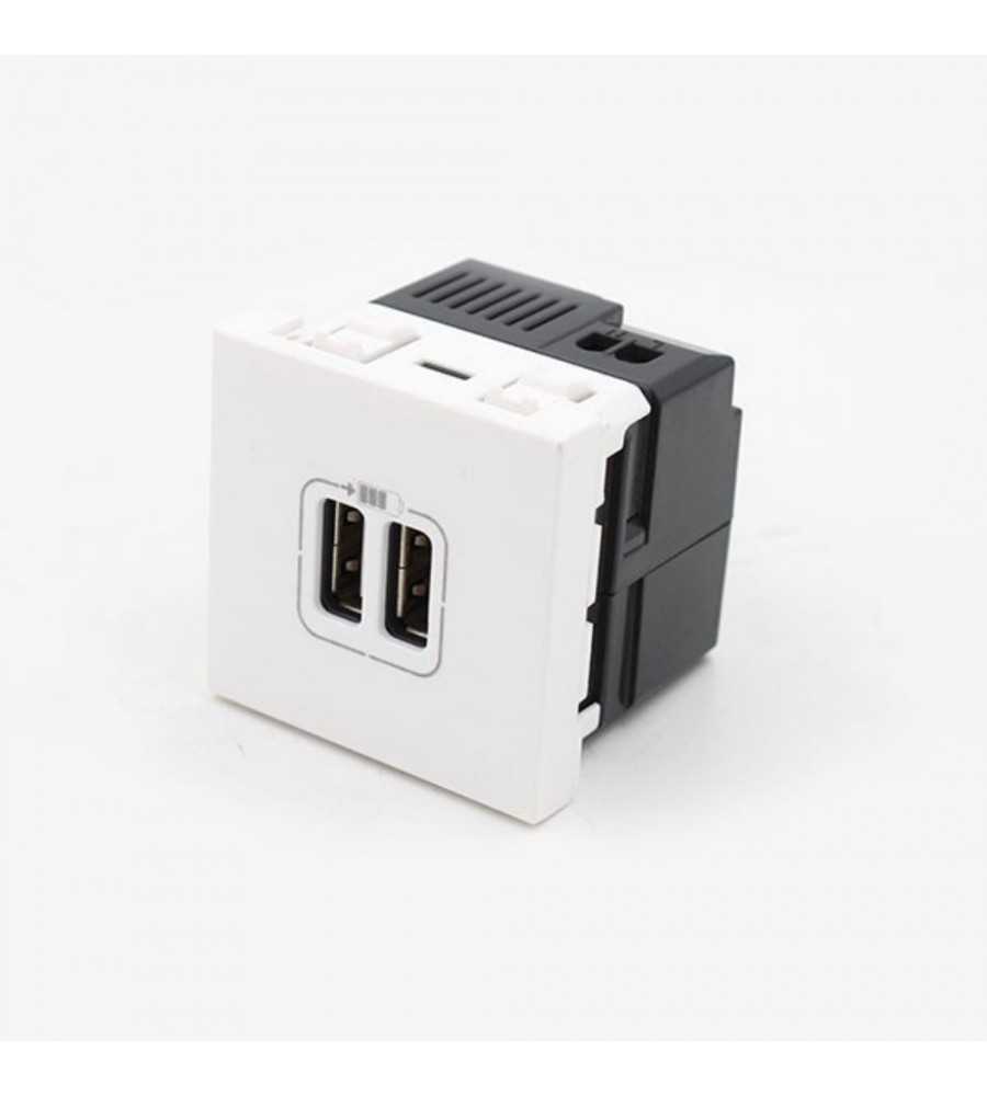 Prise 2xUSB Mosaic