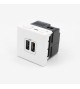Prise 2xUSB Mosaic