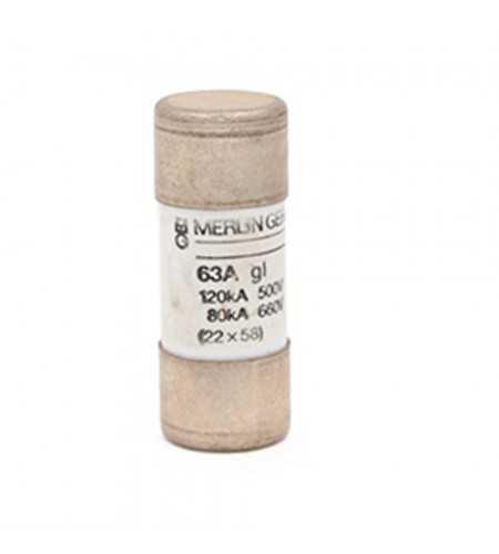 Cartouche fusible industrielle type gG