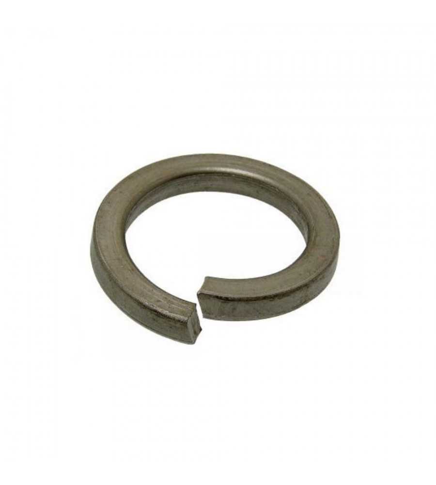 Rondelle grower brute 16mm*