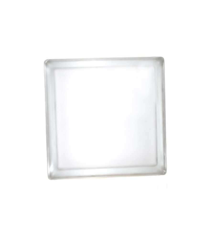 Brique de verre 190x190x80mm misty direct Cléar