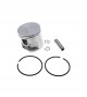 Piston complet TS420