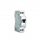 Disjoncteur DPN 1M 6A KA
