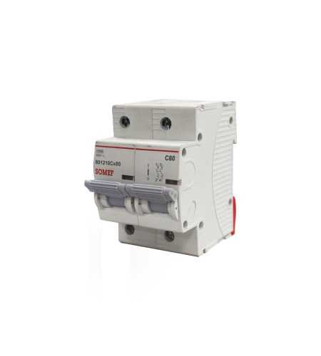 Disjoncteur 2P 80A 10KA