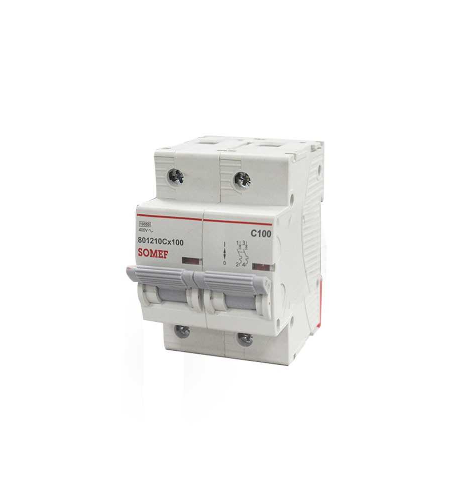 Disjoncteur 2P 100A 10KA