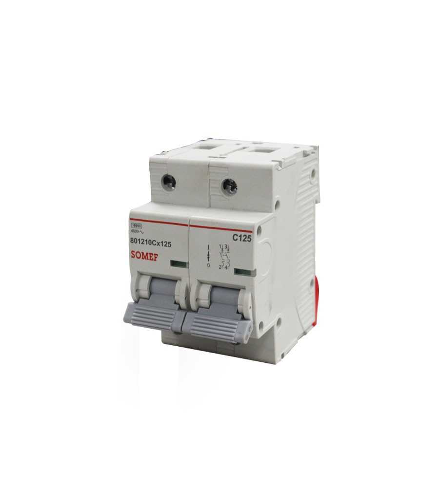 Disjoncteur 2P 125A 10KA