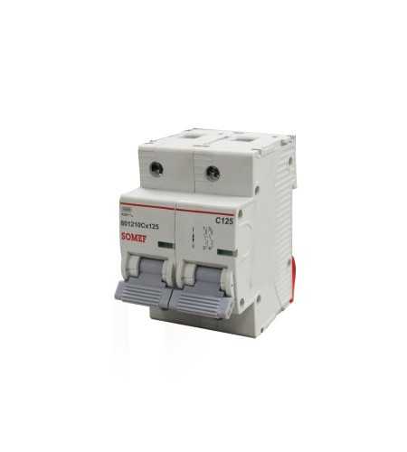 Disjoncteur 2P 125A 10KA
