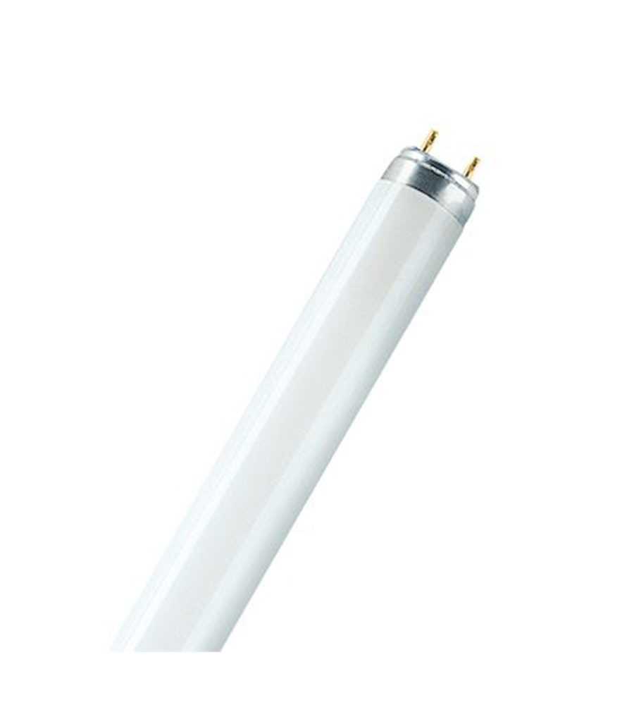 Tube fluorescent T8 36W