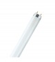 Tube fluorescent T8 36W