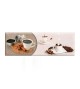 Carrelage mural20x60cmEspresso beige decor