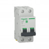 Disjoncteur miniature Easy9 2P 4500 A C 20A
