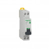 Disjoncteur 1PN C 10A