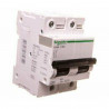 Disjoncteur C120N 2P-80A