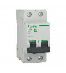 Disjoncteur miniature Easy9 2P 25 A C curve 4500 A